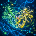 STING Agonists
